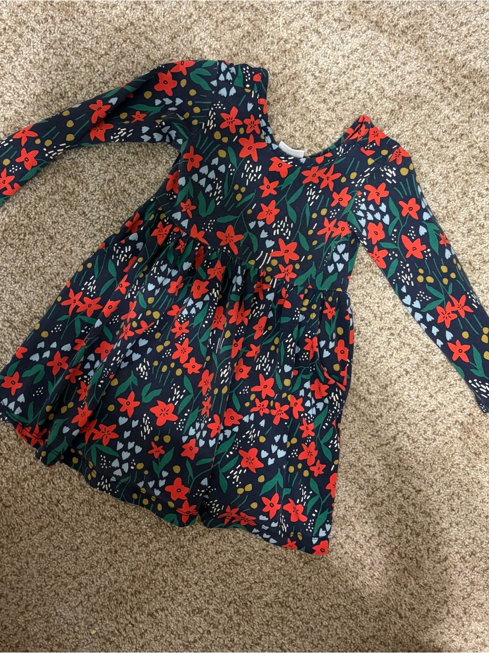 Hanna Andersson Navy Long-Sleeve Holiday Floral Dress with Red & Green Print